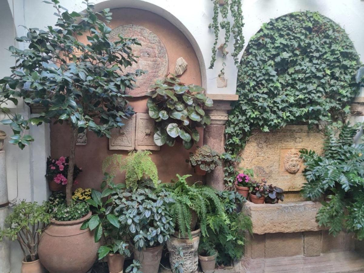El Capricho De San Fernando, Consigna Gratis Y Parking A 200Mts Leilighet Córdoba Eksteriør bilde
