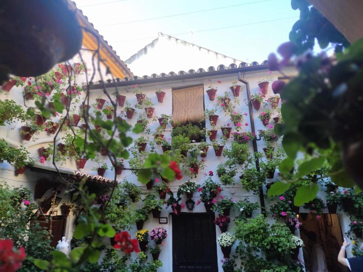 El Capricho De San Fernando, Consigna Gratis Y Parking A 200Mts Leilighet Córdoba Eksteriør bilde