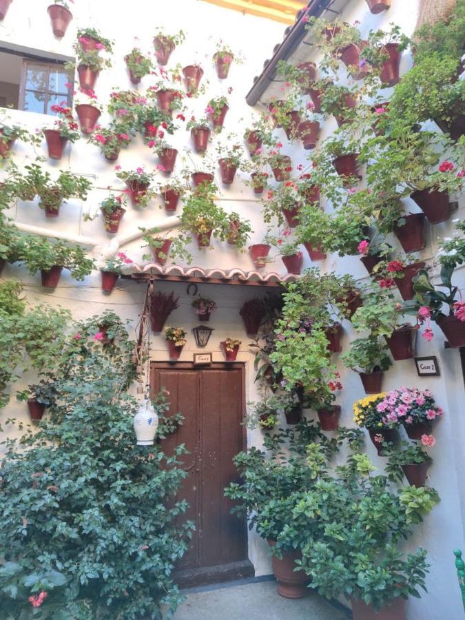 El Capricho De San Fernando, Consigna Gratis Y Parking A 200Mts Leilighet Córdoba Eksteriør bilde