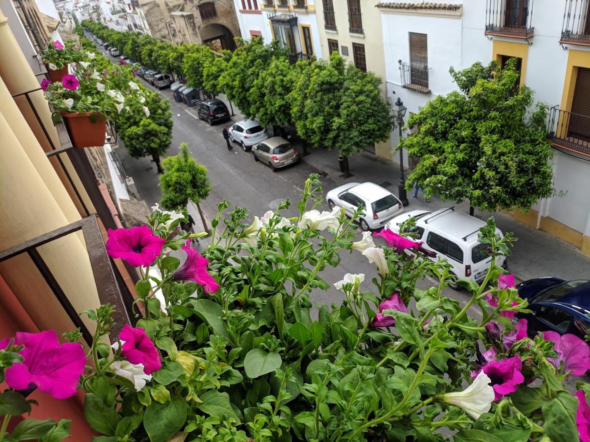El Capricho De San Fernando, Consigna Gratis Y Parking A 200Mts Leilighet Córdoba Eksteriør bilde